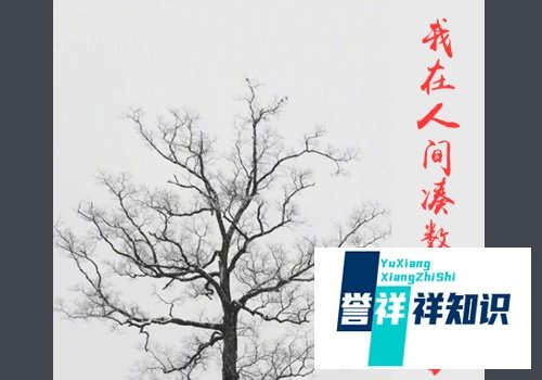 “我在人间凑数的日子”是什么梗，老阿姨表示不懂