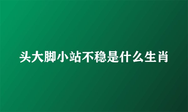 头大脚小站不稳是什么生肖