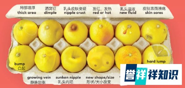 2000个失去乳房的女人成团出道：淋过雨，所以想为别人撑把伞