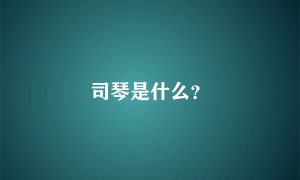 司琴是什么？