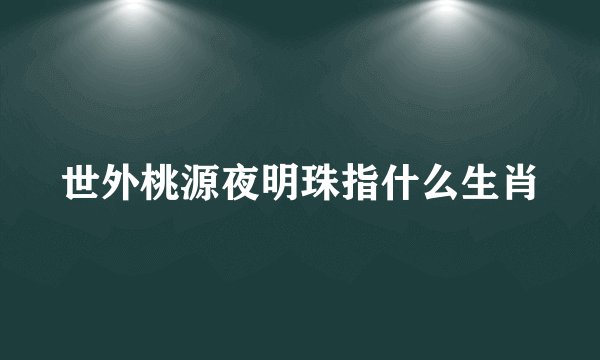 世外桃源夜明珠指什么生肖