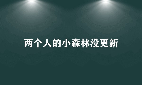 两个人的小森林没更新