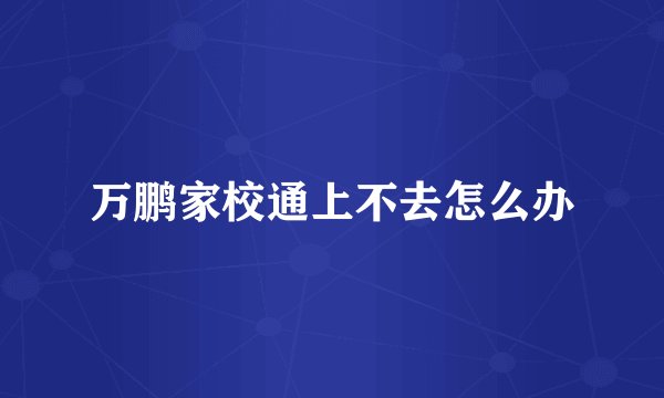 万鹏家校通上不去怎么办