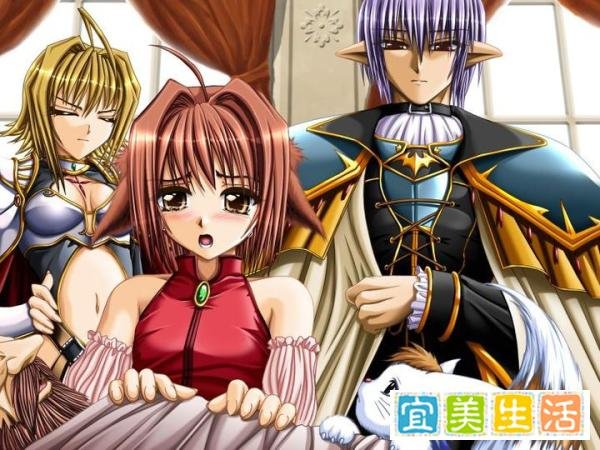 [印象]困惑的战旗——幻燐の姫将军2 ～导かれし魂の系谱～