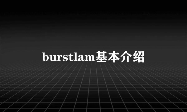 burstlam基本介绍