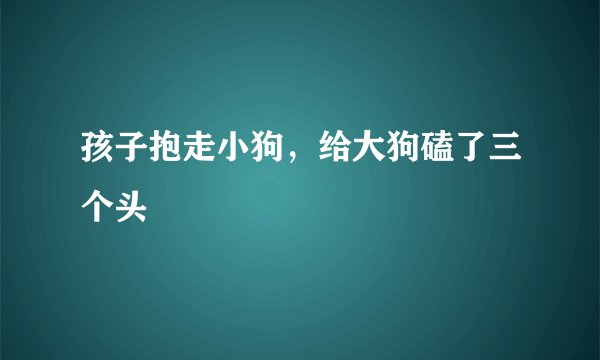 孩子抱走小狗，给大狗磕了三个头