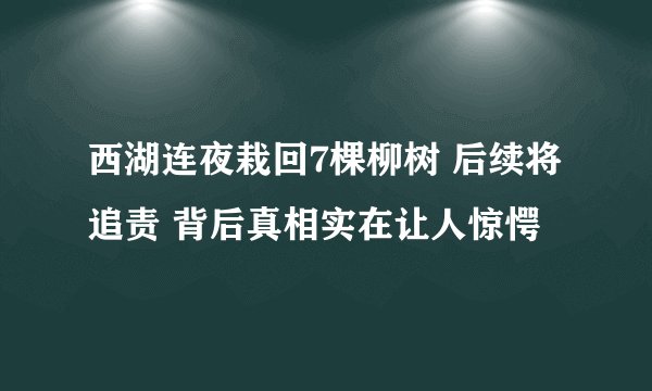 西湖连夜栽回7棵柳树 后续将追责 背后真相实在让人惊愕