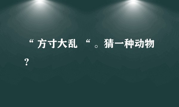 “ 方寸大乱 “ 。猜一种动物？
