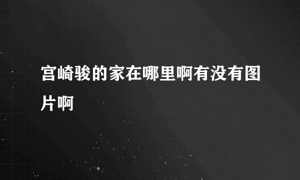 宫崎骏的家在哪里啊有没有图片啊