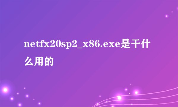 netfx20sp2_x86.exe是干什么用的