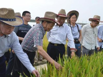 长沙的鲜花外卖单引发热议,鲜花单全为吊唁袁隆平,你怎么看?