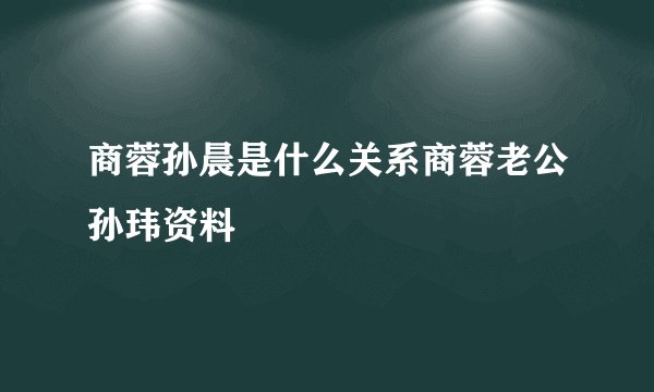 商蓉孙晨是什么关系商蓉老公孙玮资料