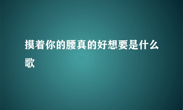 摸着你的腰真的好想要是什么歌