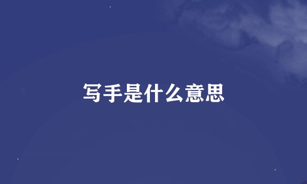 写手是什么意思