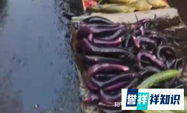 气愤！老人卖菜被泼机油，无助的眼神令人心酸
