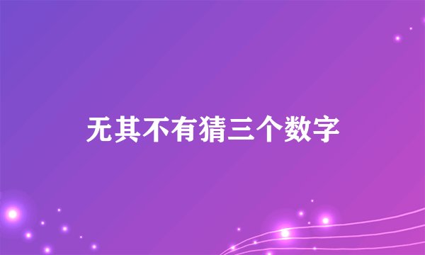 无其不有猜三个数字