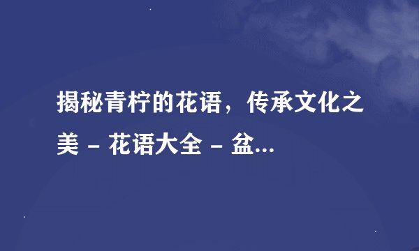 揭秘青柠的花语，传承文化之美 - 花语大全 - 盆栽百科网