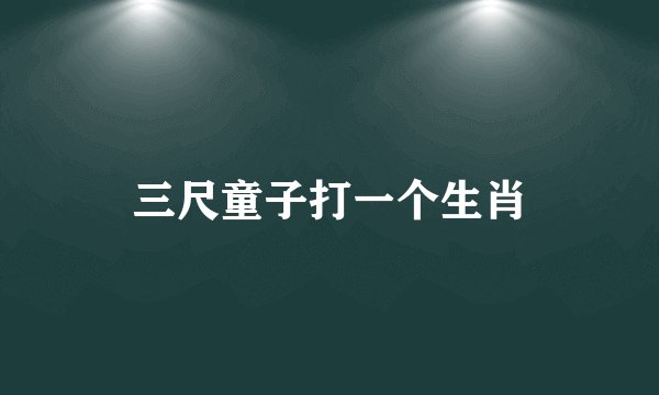 三尺童子打一个生肖