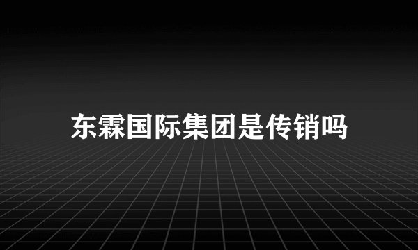 东霖国际集团是传销吗