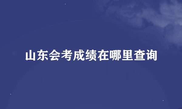 山东会考成绩在哪里查询