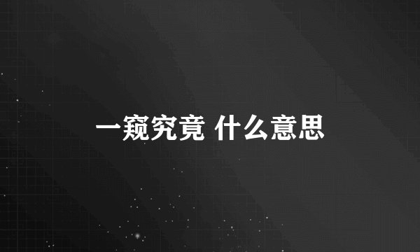 一窥究竟 什么意思