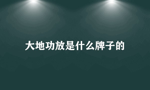大地功放是什么牌子的