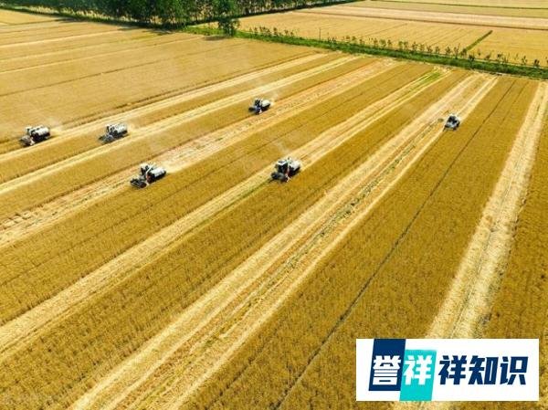 中央坚决叫停！这六种“一刀切”农村行为全面废止，农民利益有保障！