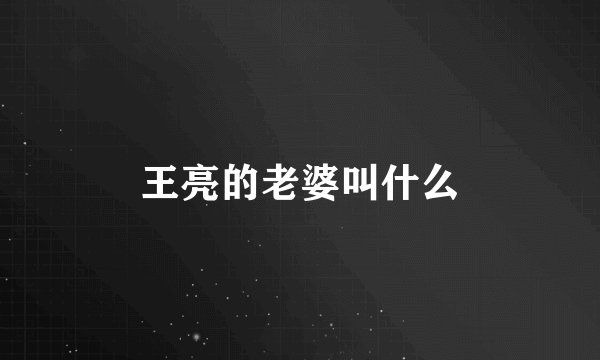 王亮的老婆叫什么