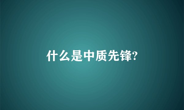 什么是中质先锋?