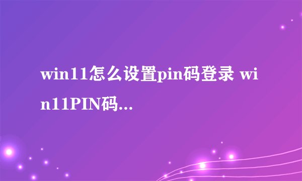 win11怎么设置pin码登录 win11PIN码登录开启教程