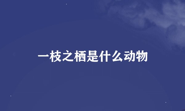 一枝之栖是什么动物