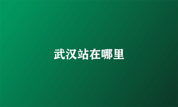 武汉站在哪里