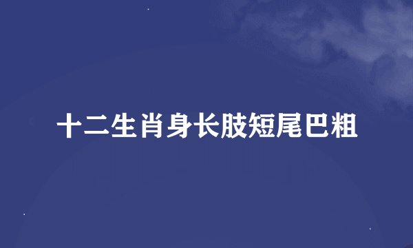 十二生肖身长肢短尾巴粗