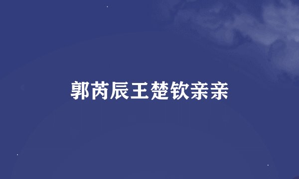郭芮辰王楚钦亲亲