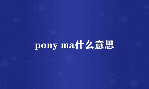 pony ma什么意思