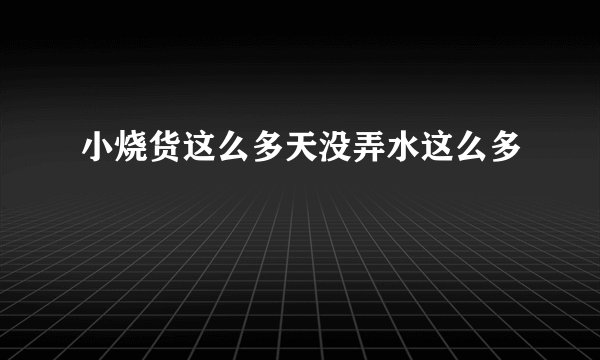 小烧货这么多天没弄水这么多
