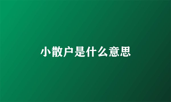 小散户是什么意思