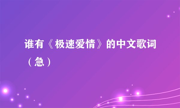 谁有《极速爱情》的中文歌词(急)