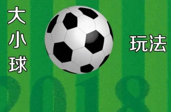 大小球2.5是什么意思
