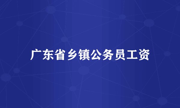 广东省乡镇公务员工资
