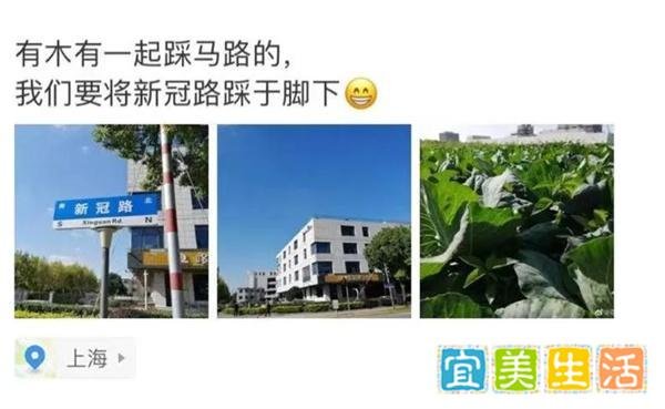 上海新冠路火出圈 到底怎么情况？