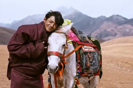 丁真说以前就放牛骑马现在要干活，如何评价丁真现在的生活？