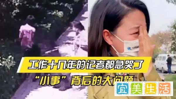 安阳王，终于被逼道歉了，道歉是因为怕饭碗丢了……