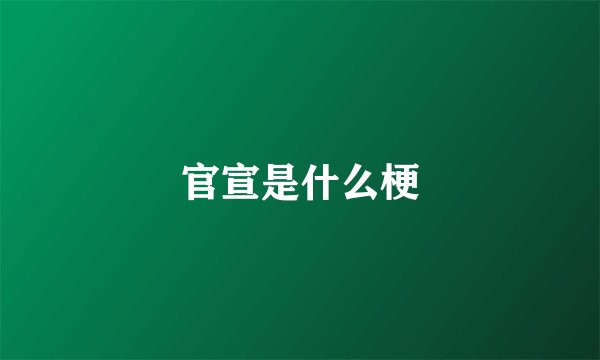 官宣是什么梗