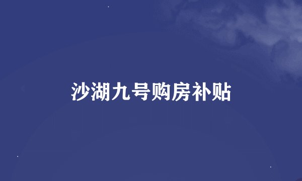 沙湖九号购房补贴
