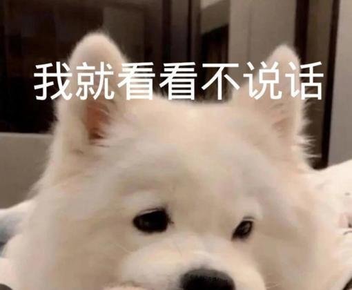 建议女生不要养大狗，这些原因，一般人很难接受