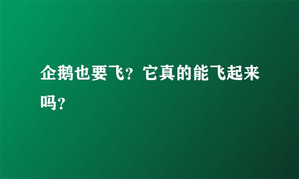 企鹅也要飞？它真的能飞起来吗？