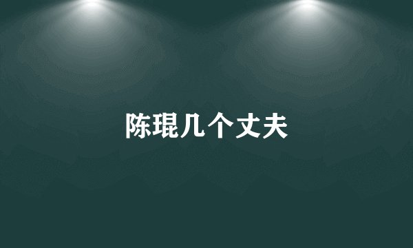 陈琨几个丈夫