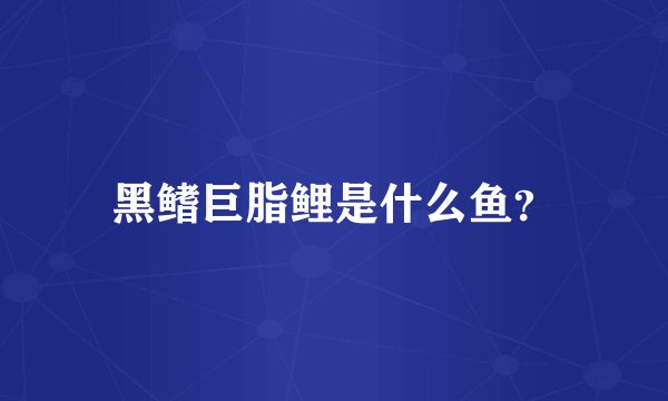 黑鳍巨脂鲤是什么鱼？