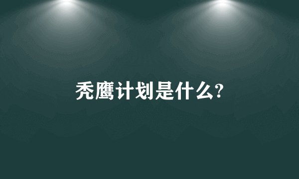 秃鹰计划是什么?
